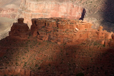 grandcanyon2011