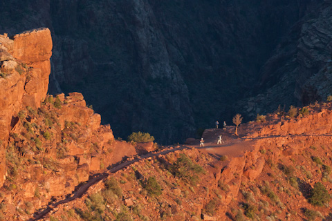 grandcanyon2011