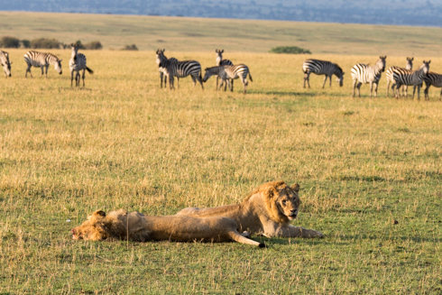 africa2017