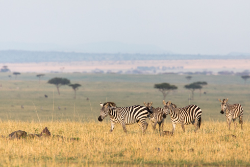 africa2017