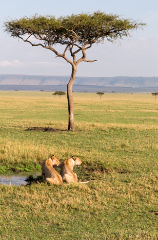 africa2017
