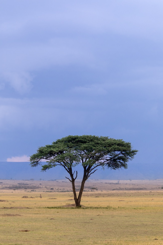 africa2017