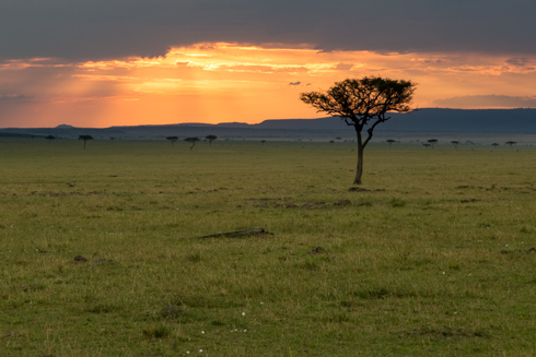 africa2017