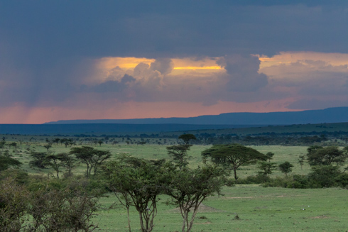 africa2017