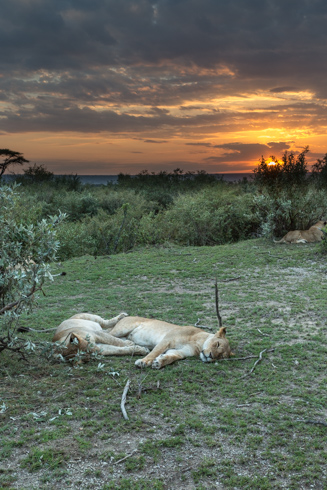 africa2017