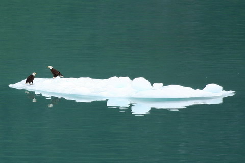 alaska2006