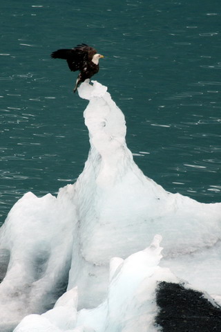 alaska2006