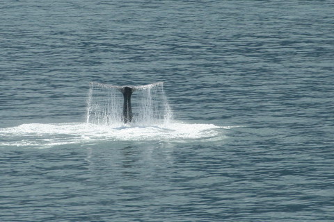 alaska2006