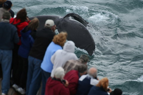 alaska2006