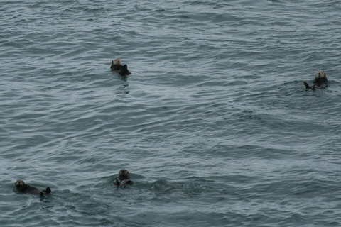alaska2006
