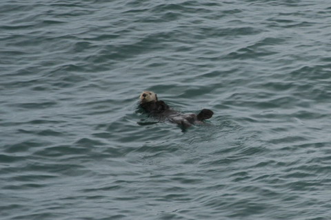 alaska2006