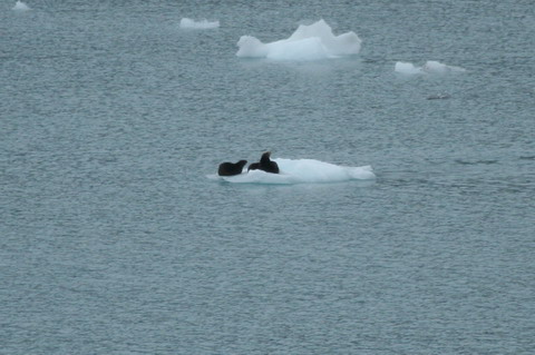 alaska2006