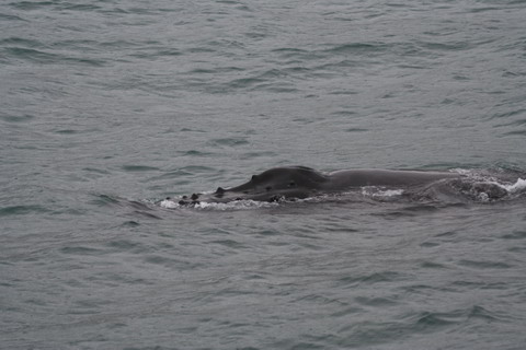 alaska2006