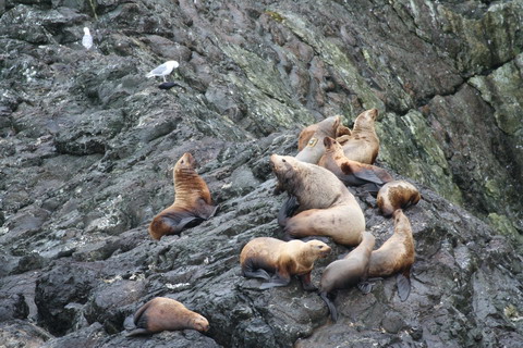 alaska2006