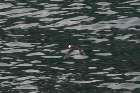 alaska2006