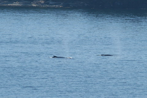 alaska2006