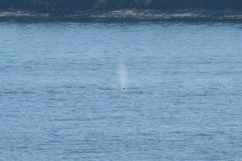 alaska2006