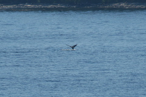 alaska2006
