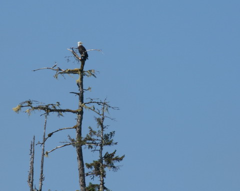 alaska2006