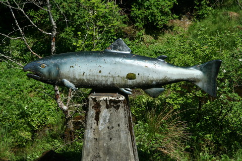 alaska2006
