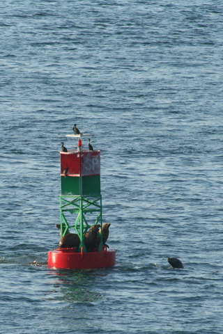alaska2006
