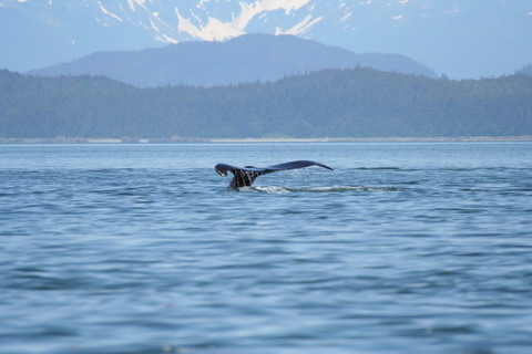 alaska2006