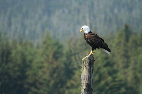 alaska2006