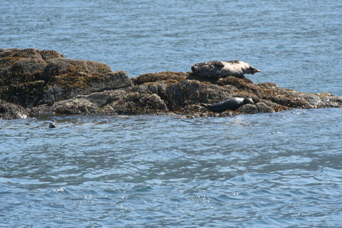 alaska2006