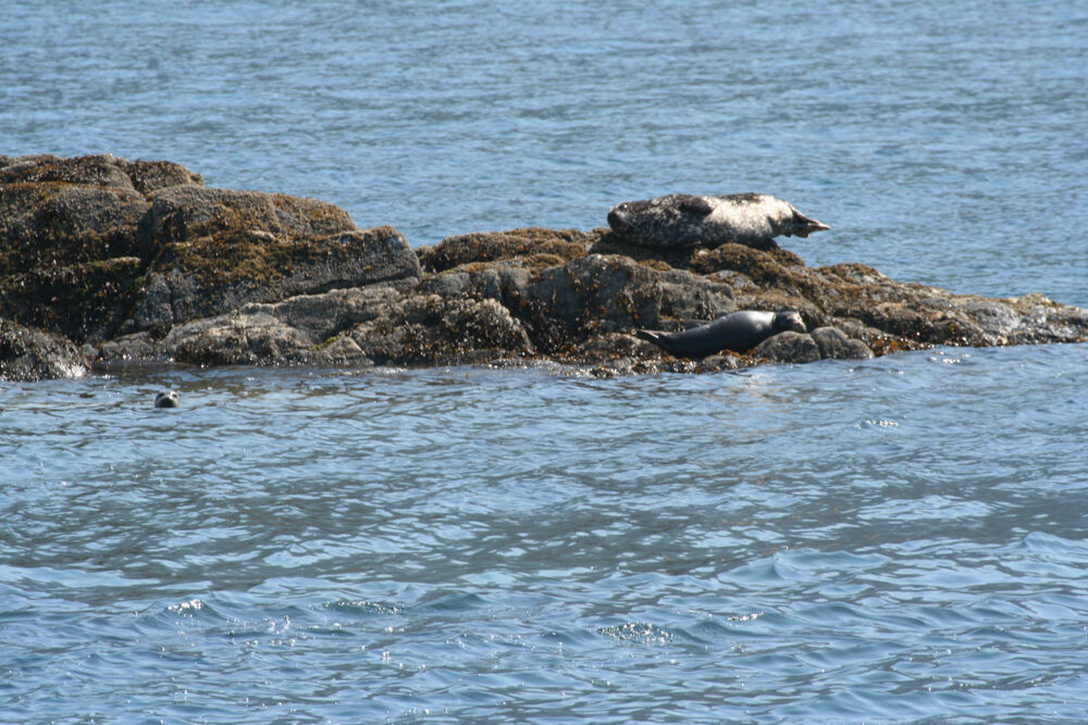 alaska2006
