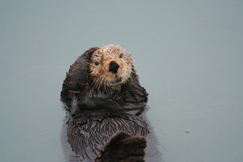 alaska2006