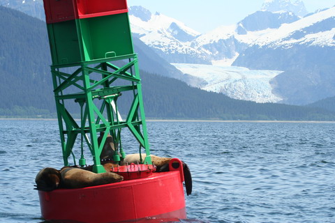 alaska2006