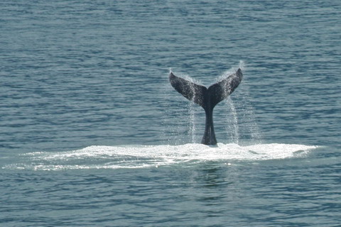alaska2006