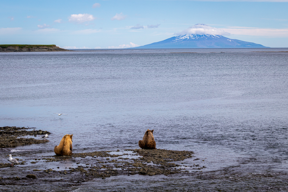 alaska2025