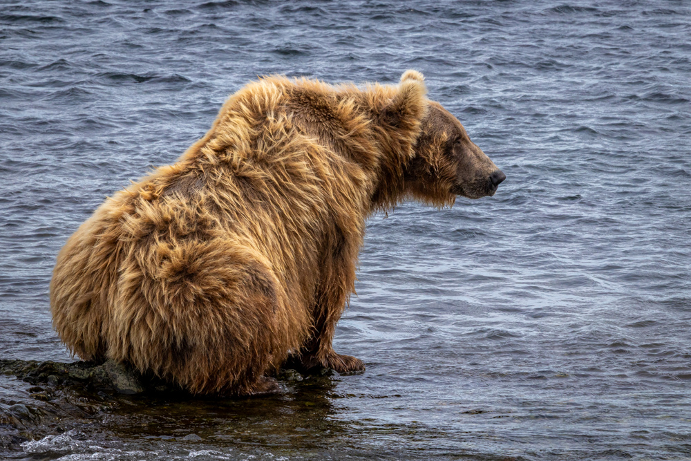 alaska2025