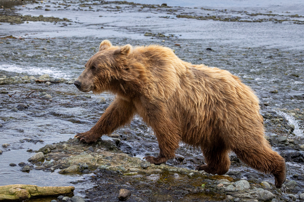 alaska2025