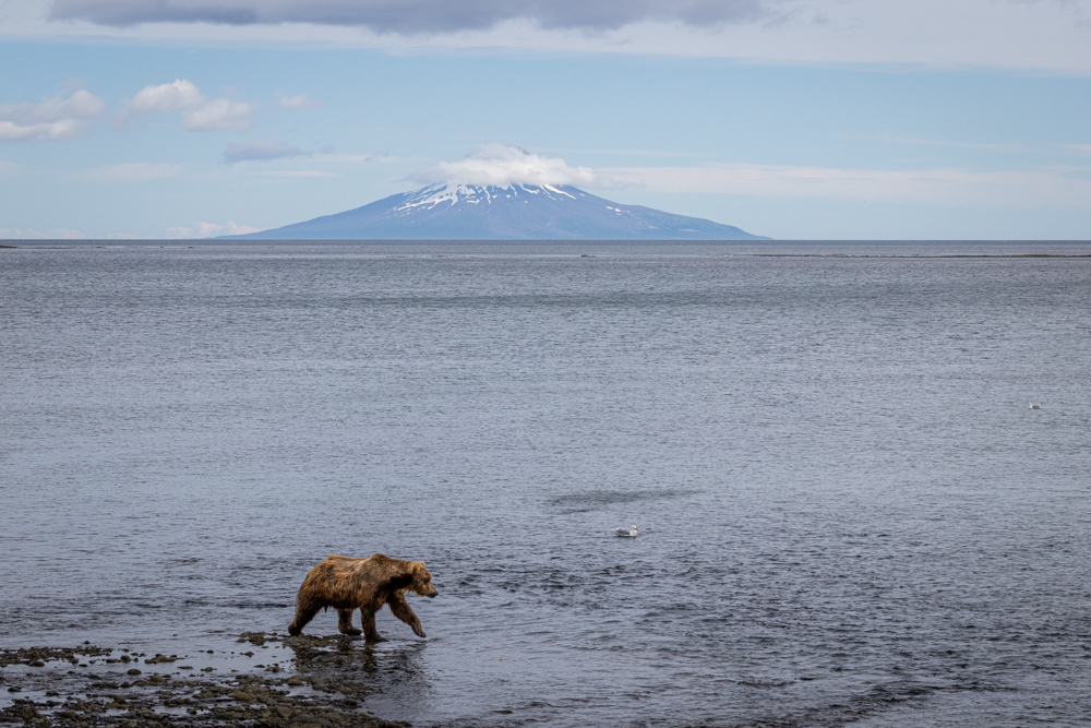 alaska2025