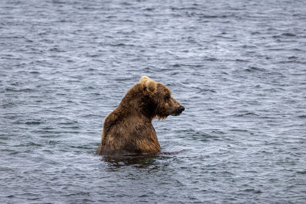 alaska2025