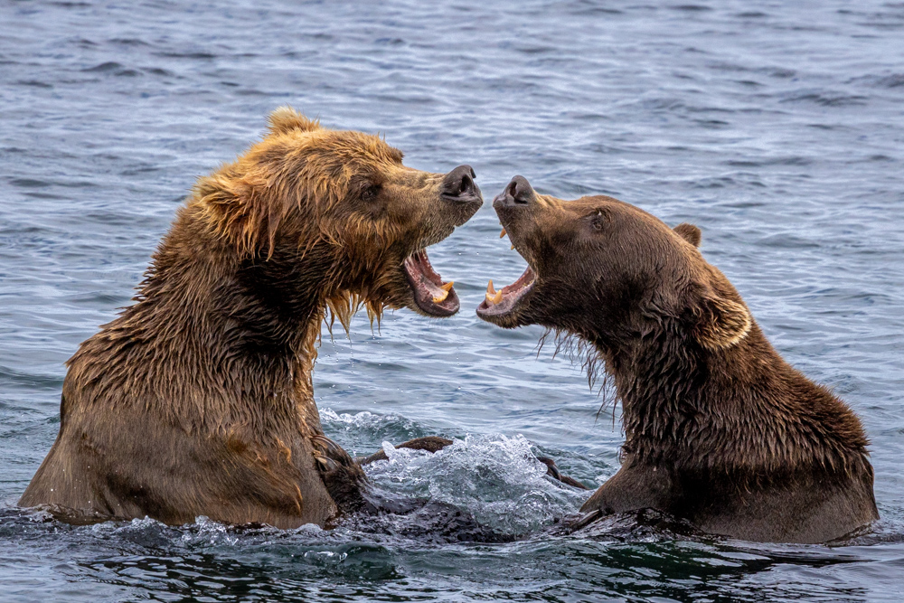 alaska2025