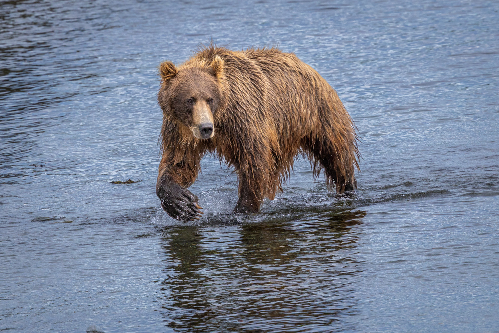alaska2025