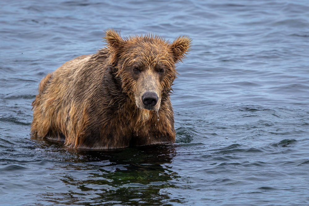 alaska2025