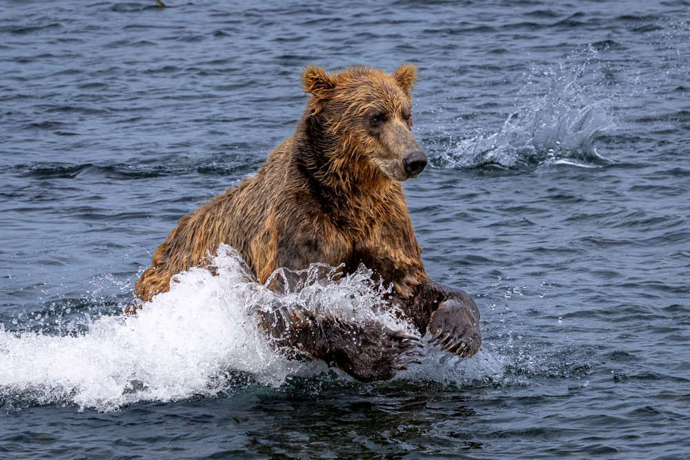 alaska2025