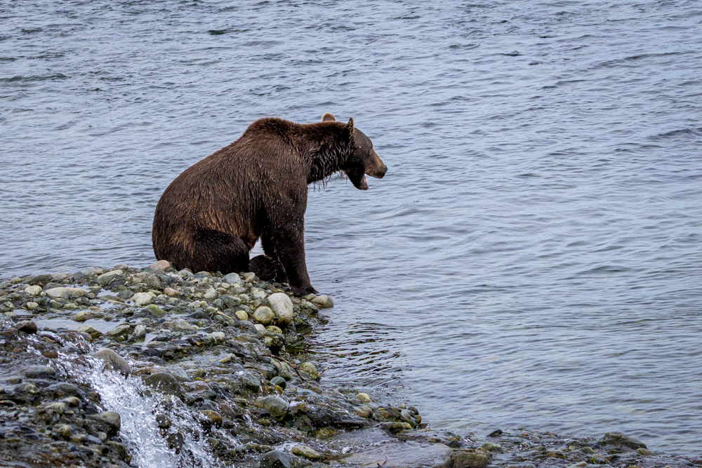 alaska2025