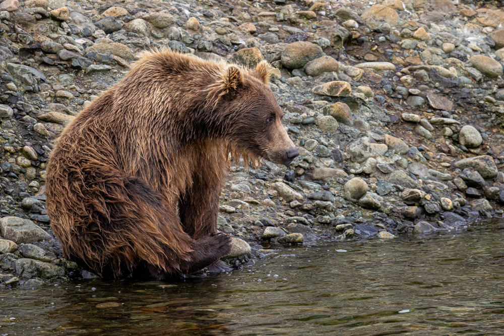 alaska2025