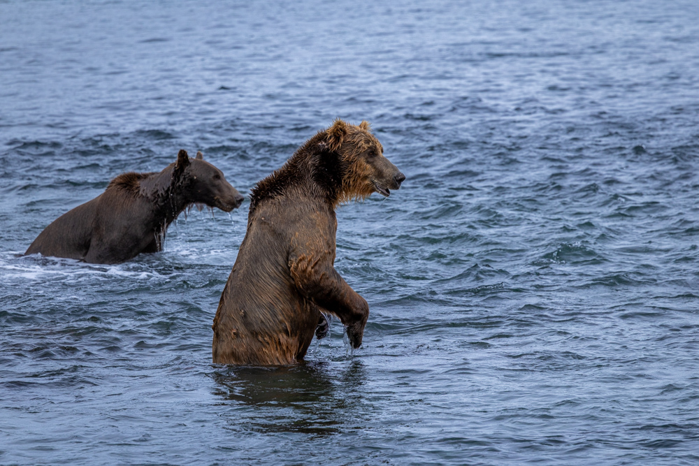 alaska2025