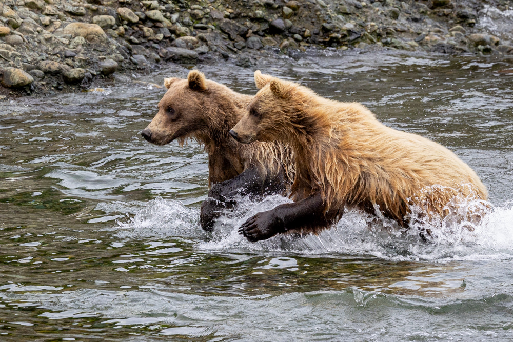 alaska2025