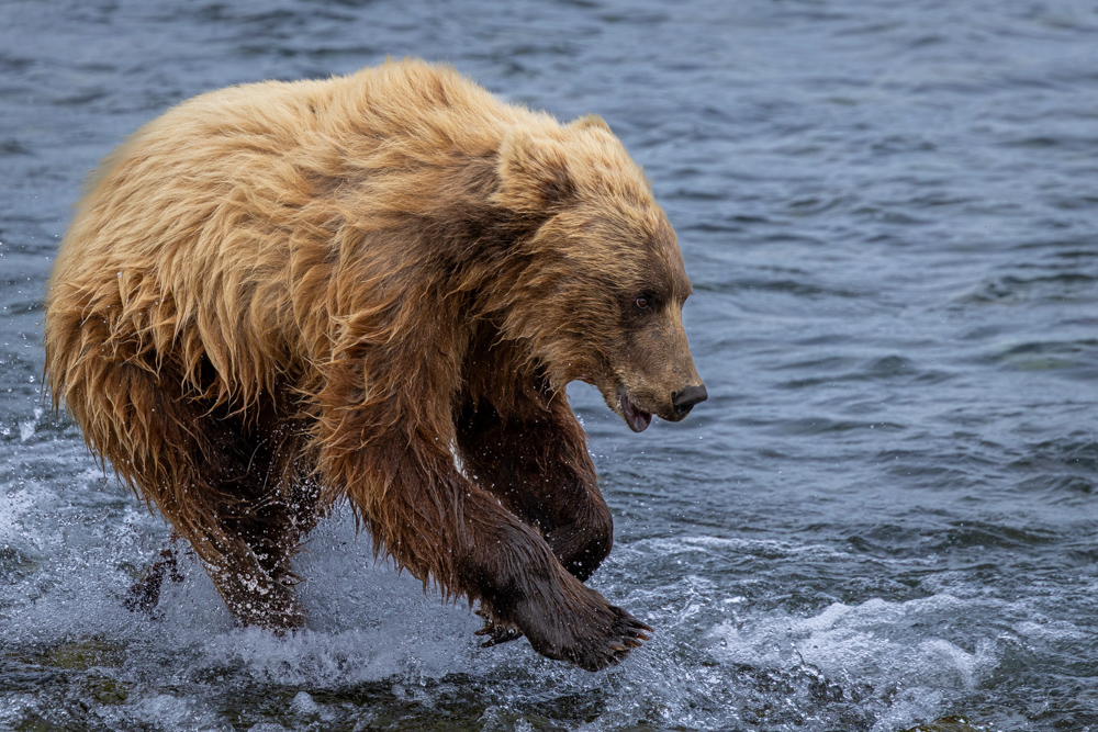 alaska2025