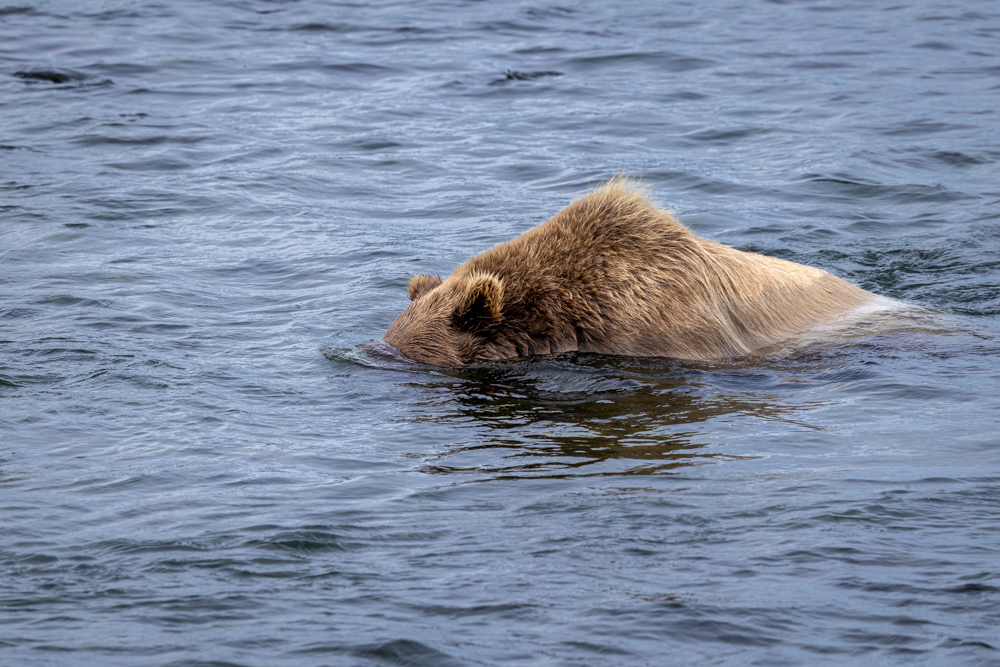 alaska2025