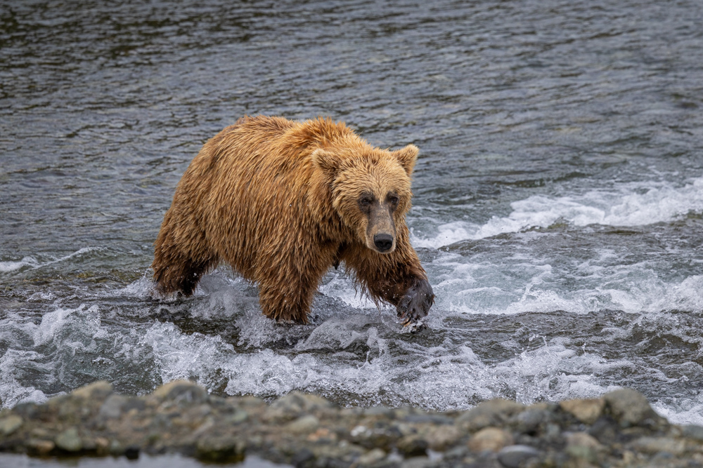 alaska2025