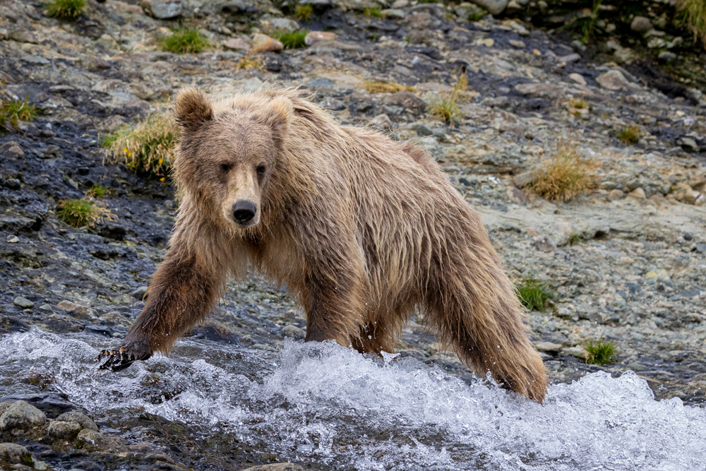 alaska2025