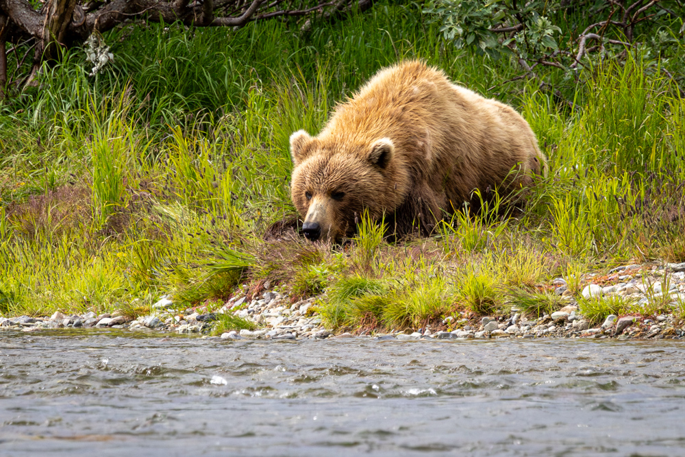 alaska2025